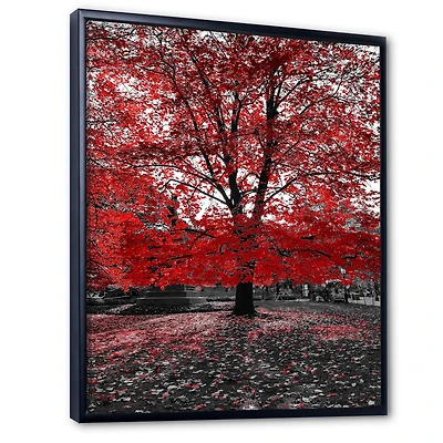 Red Tree Central Park  Wall Art