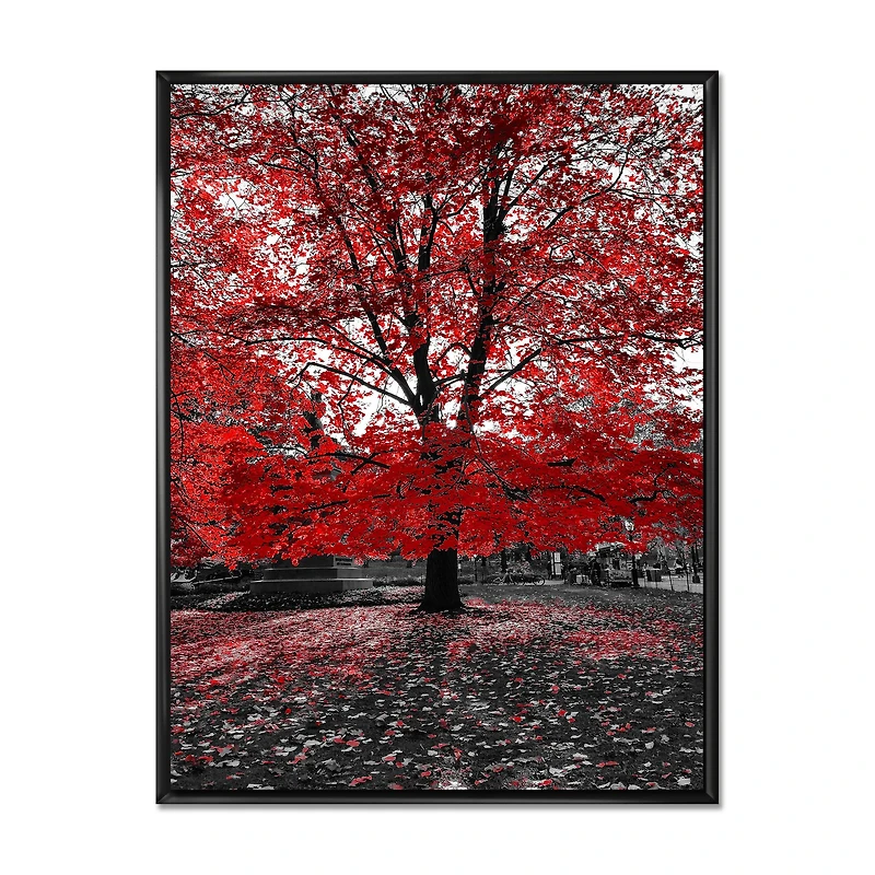 Red Tree Central Park  Wall Art