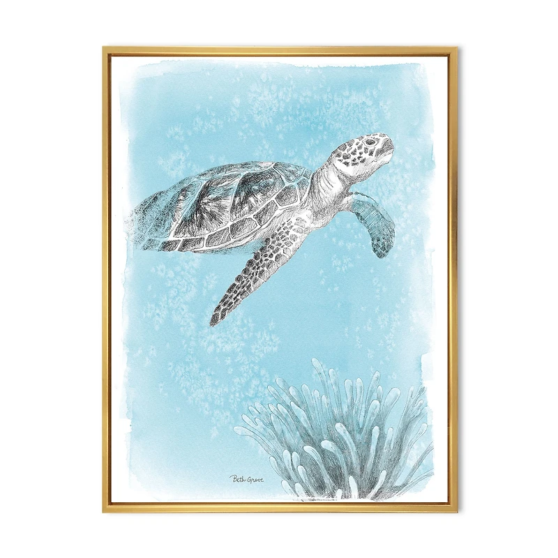 Coastal Sea Life I Turtle sketches  Wall Art