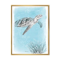Coastal Sea Life I Turtle sketches  Wall Art