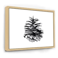 Toile « Conifer Cone Monochrome »