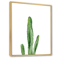 Green Cactus South Western Plant Botanical Detail  Wall Art