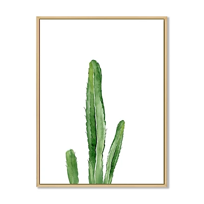 Green Cactus South Western Plant Botanical Detail  Wall Art