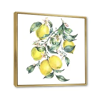Branch of Yellow Lemons and Leaves I  Wall Art