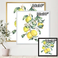 Branch of Yellow Lemons and Leaves I  Wall Art