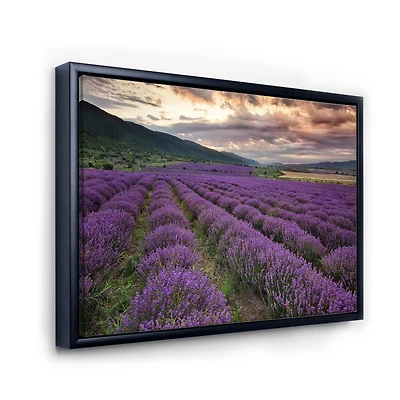 Lavender Field At Dawn I  Wall Art