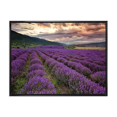 Lavender Field At Dawn I  Wall Art