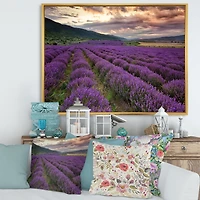 Lavender Field At Dawn I  Wall Art
