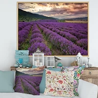 Lavender Field At Dawn I  Wall Art