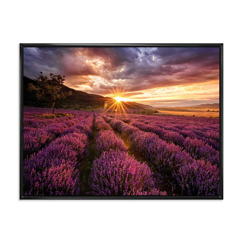 Sunrise & Dramatic Clouds Over Lavender Field IV  Wall Art