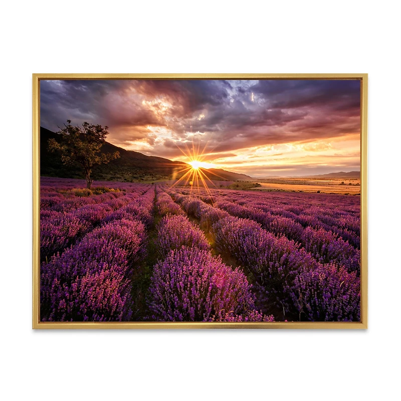 Sunrise & Dramatic Clouds Over Lavender Field IV  Wall Art