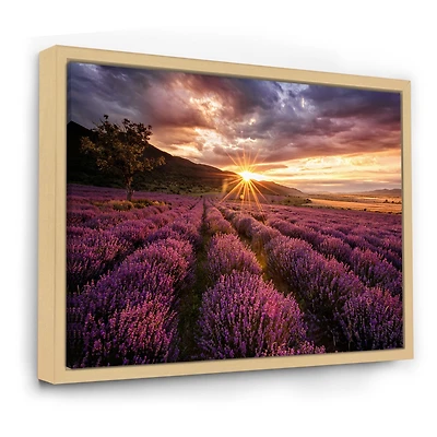 Sunrise & Dramatic Clouds Over Lavender Field IV Wall Art