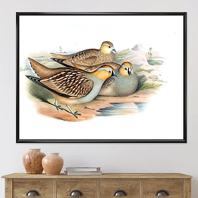 Vintage Birds The Wild III  Wall Art