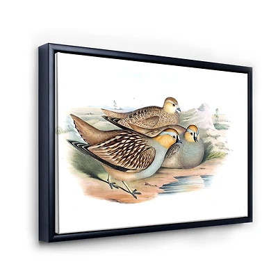 Vintage Birds The Wild III Wall Art