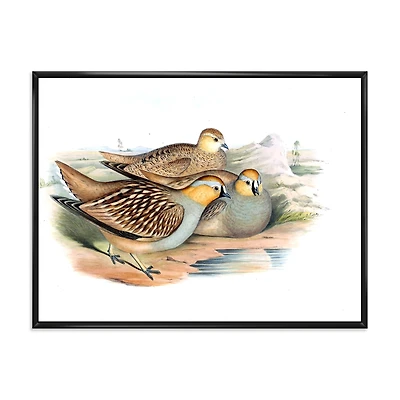 Vintage Birds The Wild III  Wall Art