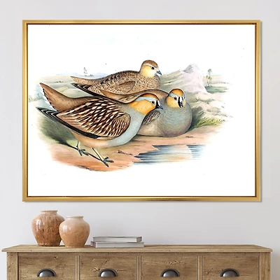 Vintage Birds The Wild III  Wall Art