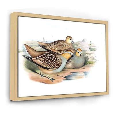Vintage Birds The Wild III  Wall Art