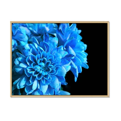 Detail of Blue Flowers on Black I Wall Art