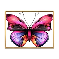 Bright Pink Butterfly Portrait  Wall Art