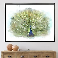 Toile « Peacock Bird »