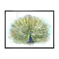 Peacock Bird  Wall Art