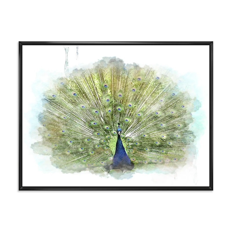 Toile « Peacock Bird »