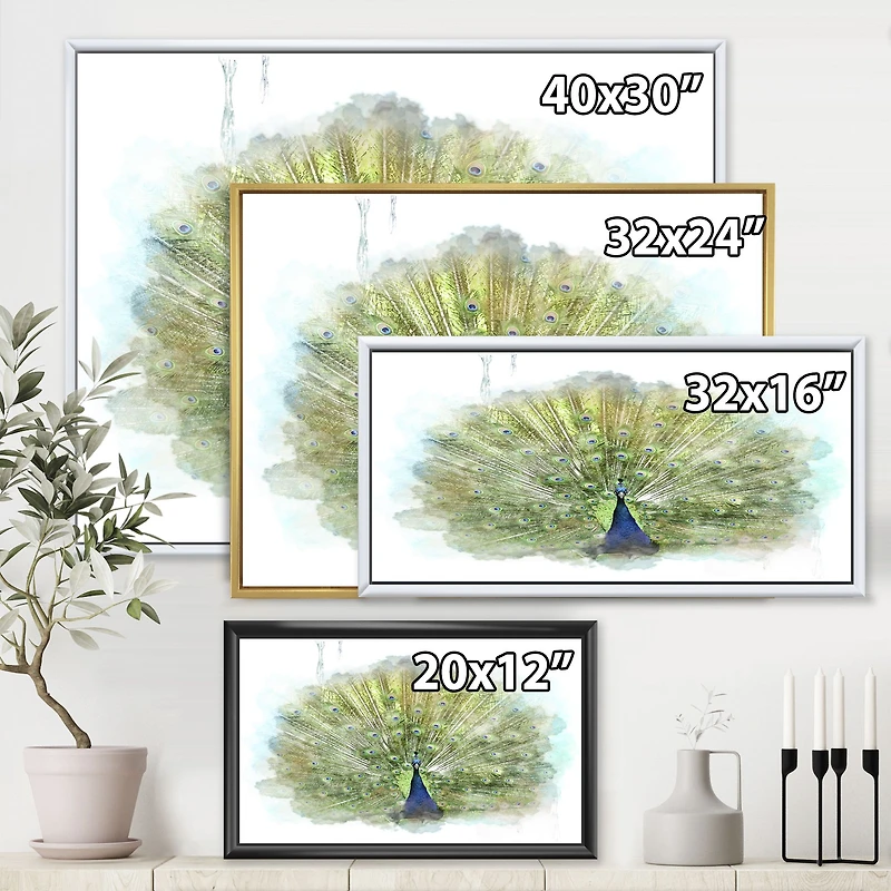 Toile « Peacock Bird »