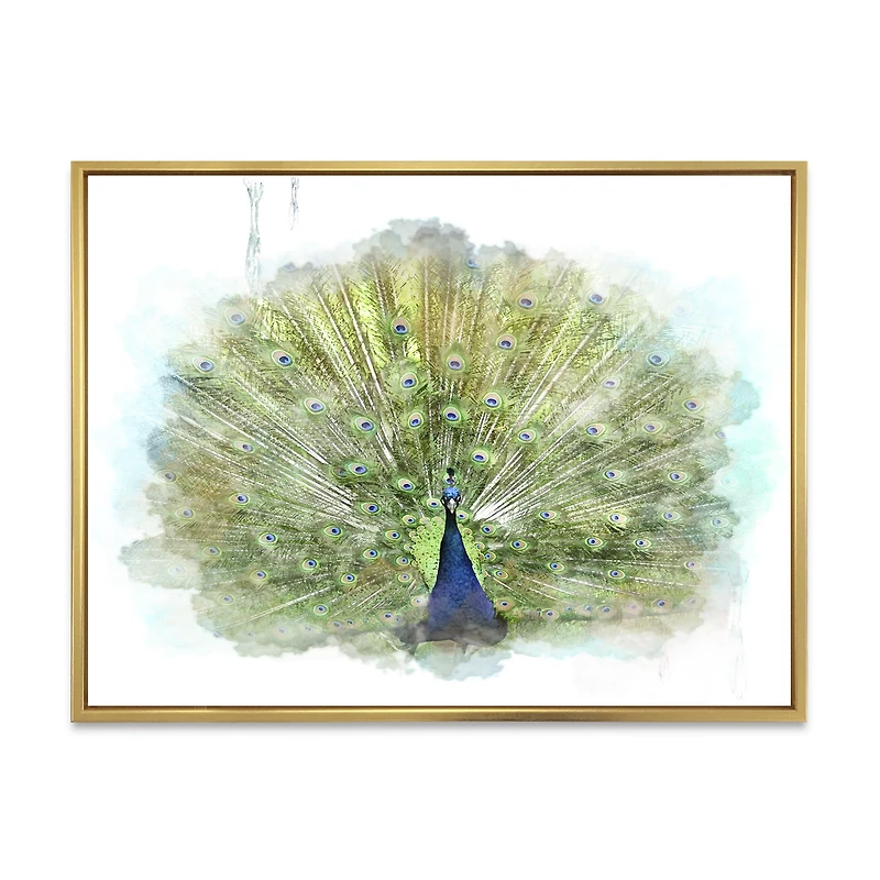 Toile « Peacock Bird »
