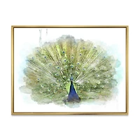 Toile « Peacock Bird »