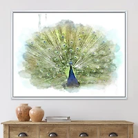 Toile « Peacock Bird »