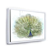 Toile « Peacock Bird »