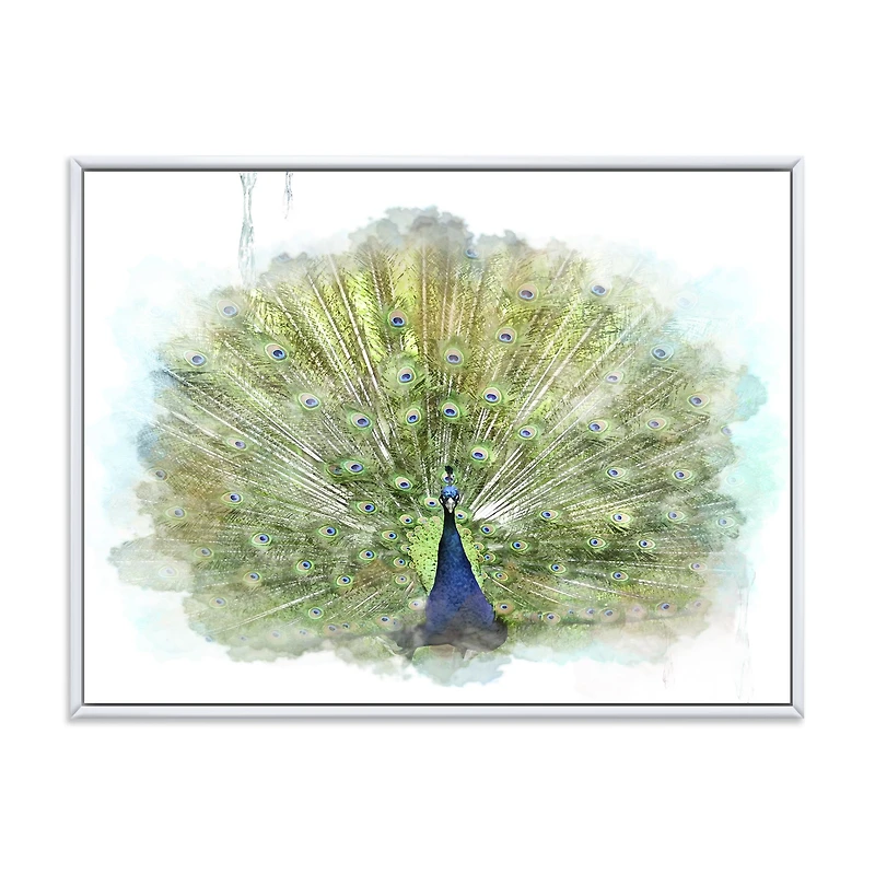 Toile « Peacock Bird »