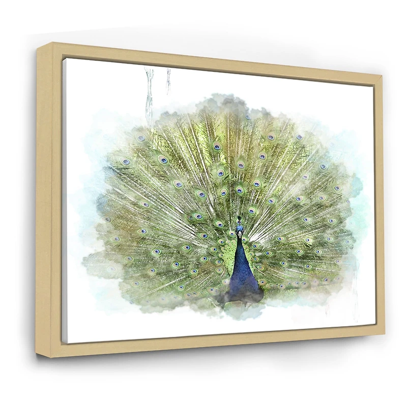 Toile « Peacock Bird »