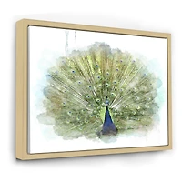Toile « Peacock Bird »