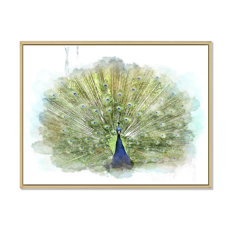 Toile « Peacock Bird »