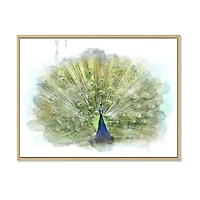 Toile « Peacock Bird »