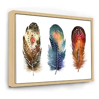 Colourful Boho Feather Set IX  Wall Art