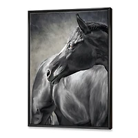 Portrait of A Black Horse  Canvas Wall Art Print