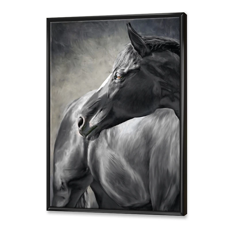 Portrait of A Black Horse  Canvas Wall Art Print