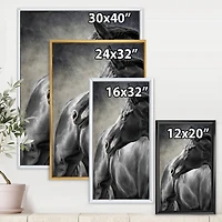 Portrait of A Black Horse  Canvas Wall Art Print