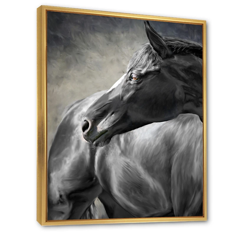 Portrait of A Black Horse  Canvas Wall Art Print