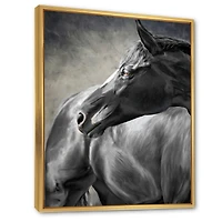 Portrait of A Black Horse  Canvas Wall Art Print