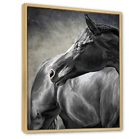 Portrait of A Black Horse  Canvas Wall Art Print