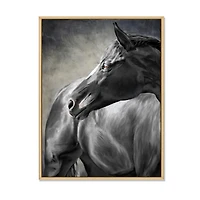 Portrait of A Black Horse  Canvas Wall Art Print