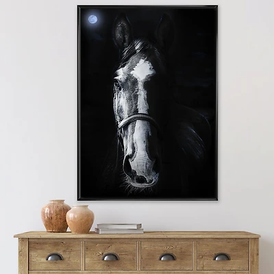 Horse Staring Sinister  Wall Art