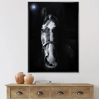 Horse Staring Sinister  Wall Art