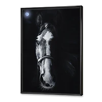 Horse Staring Sinister  Wall Art
