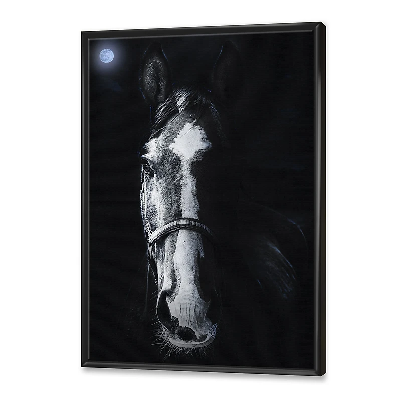 Horse Staring Sinister  Wall Art