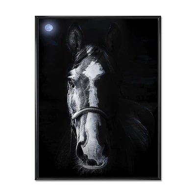 Horse Staring Sinister Wall Art