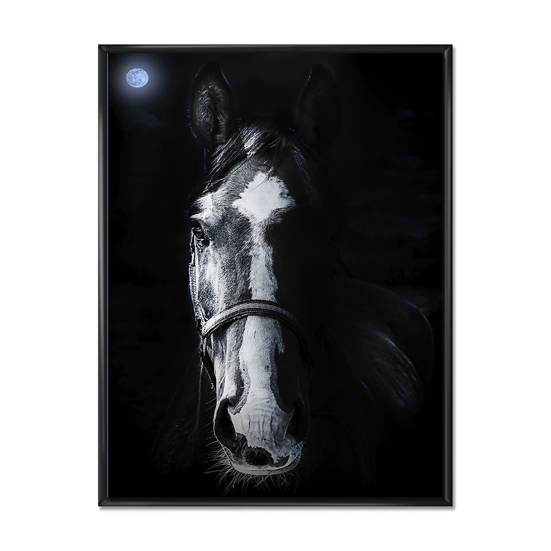 Horse Staring Sinister  Wall Art
